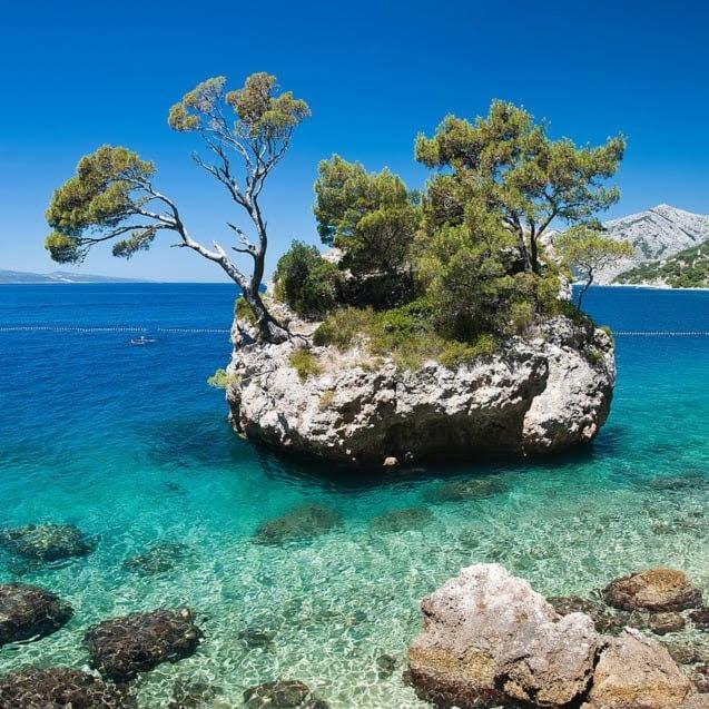 Zuzana Appartement Baška Voda
